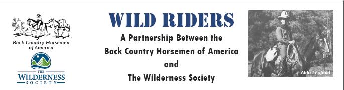 Wild Riders Wild Riders